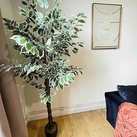 Appartement Le Magnifique - *